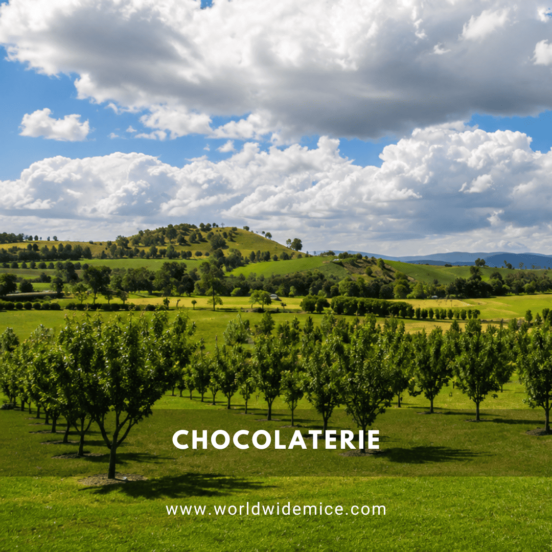Yarra Valley Chocolaterie