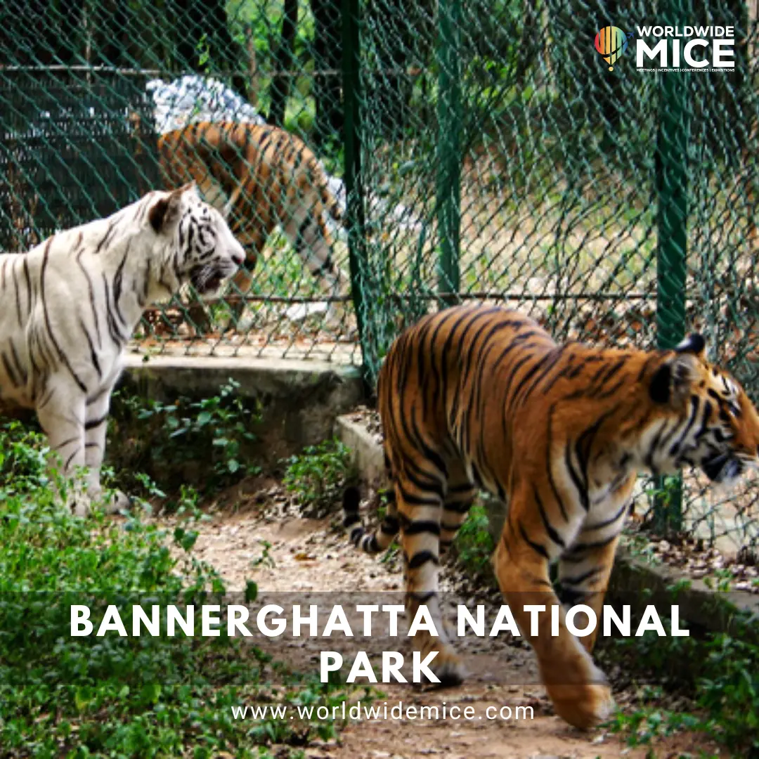 Bannerghatta